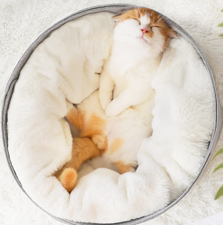 cozy pet bed
