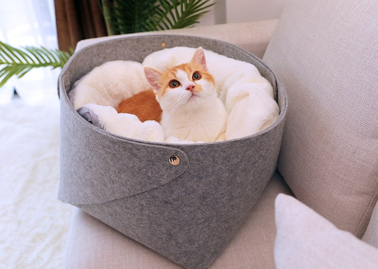 cozy pet bed