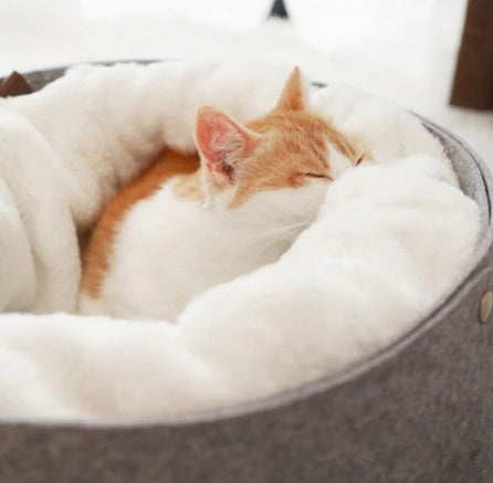cozy pet bed