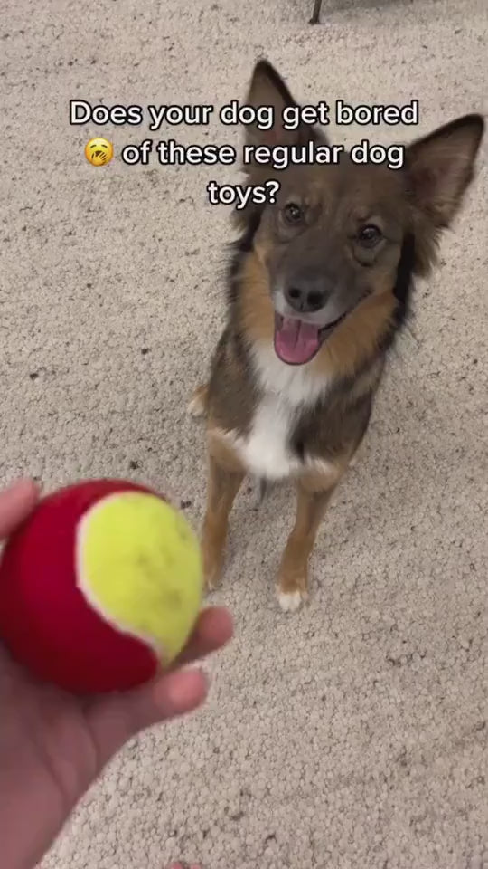 1.mp4